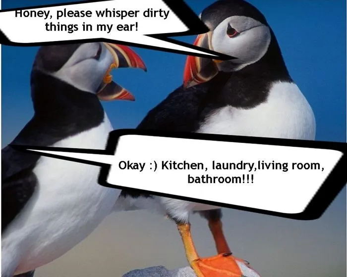 Light My Fire: Make These Two Birds Talk To Each Other