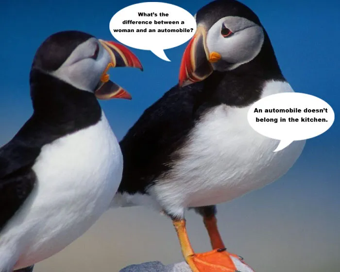 Light My Fire: Make These Two Birds Talk To Each Other