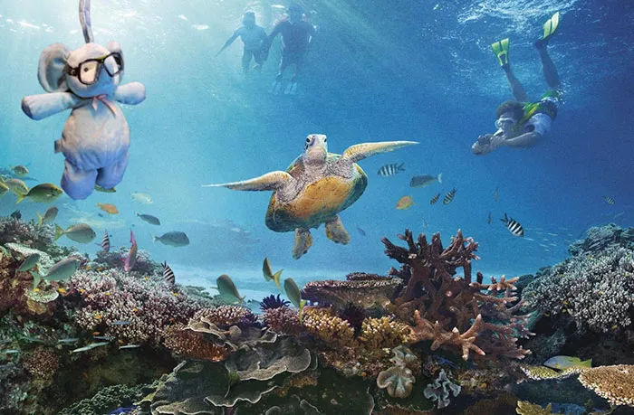 Checking Out The Turtles At The Great Barrier Reef
