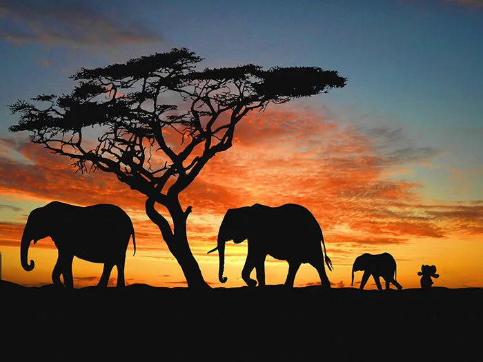 In Africa