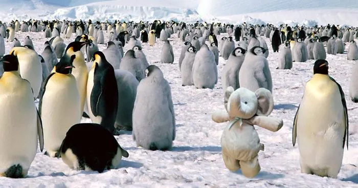 Parents Tell Boy His Favorite Toy Isn't Lost But Traveling The World, Internet's Response Is Amazing