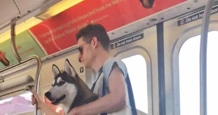 Dogs Are Not Allowed On NYC Subway Unless They're In A Carrier...So This Happened