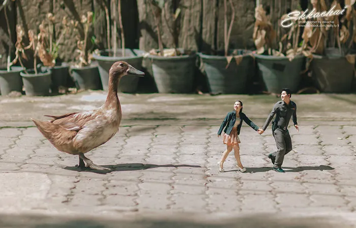 Wedding Photographer Turns Couples Into Miniature People