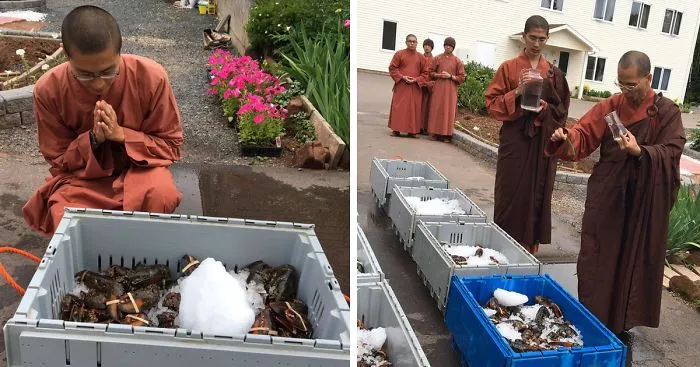 Monks Buy 600 Lbs Of Lobster, Release Them Into Ocean