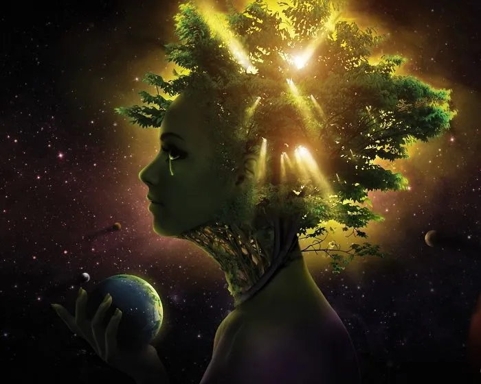 6 Lessons We Can Learn From Mother Nature