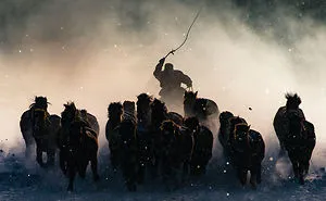The Winners Of The 2016 National Geographic Traveler Photo Contest