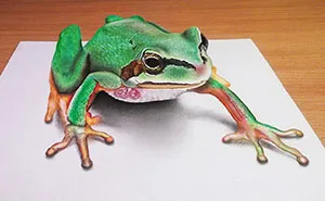3D Drawings That I Create To Confuse People