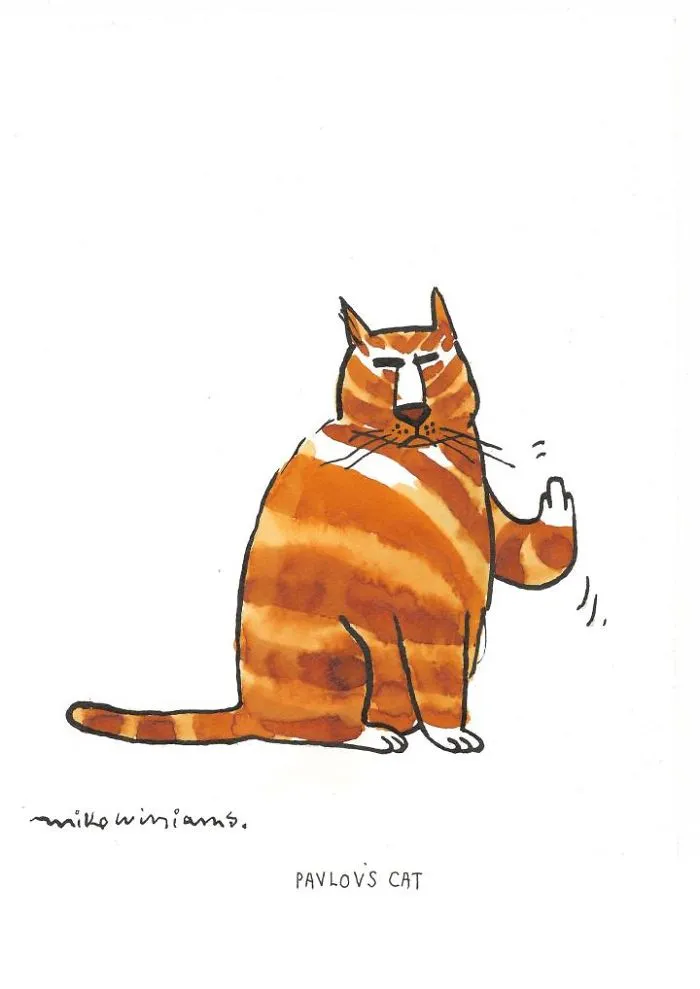 9 Birthday Cards Which Only Make Sense If You Have Cats