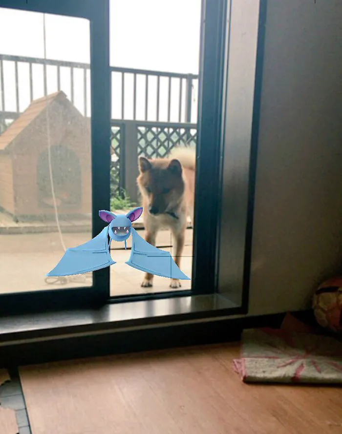 Momo Also Can See The Pokemon