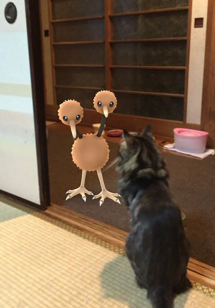 Hey, Believe It Or Not Cats Can See Them