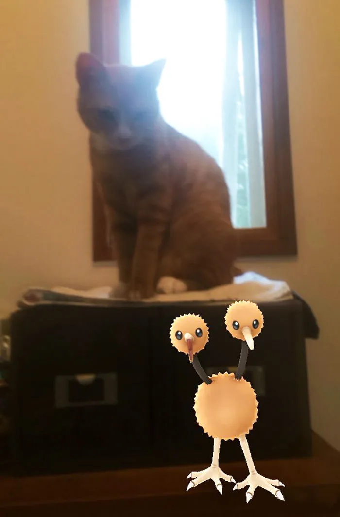 Well Hello There