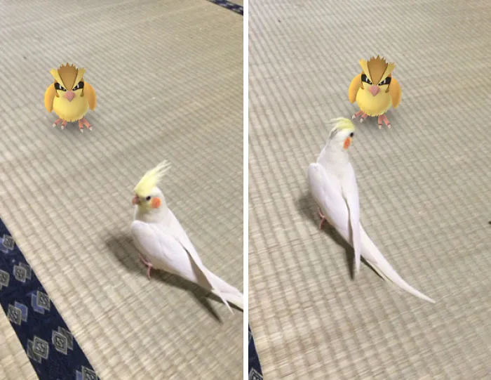 Brother From Another Mother?