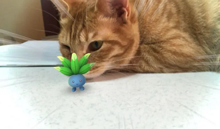 My Cat Is A Hunter