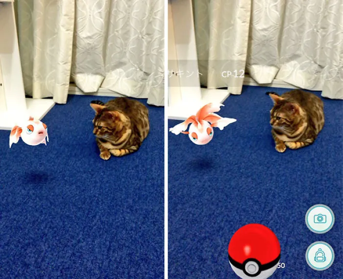 I'm Hunting Them