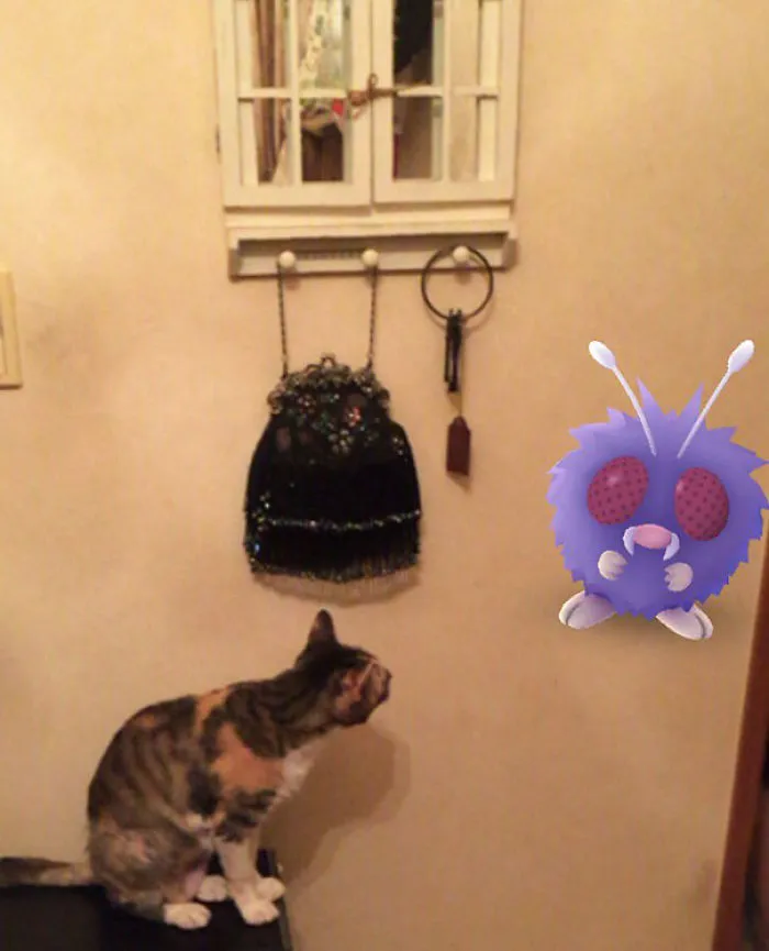 Should I Catch It?