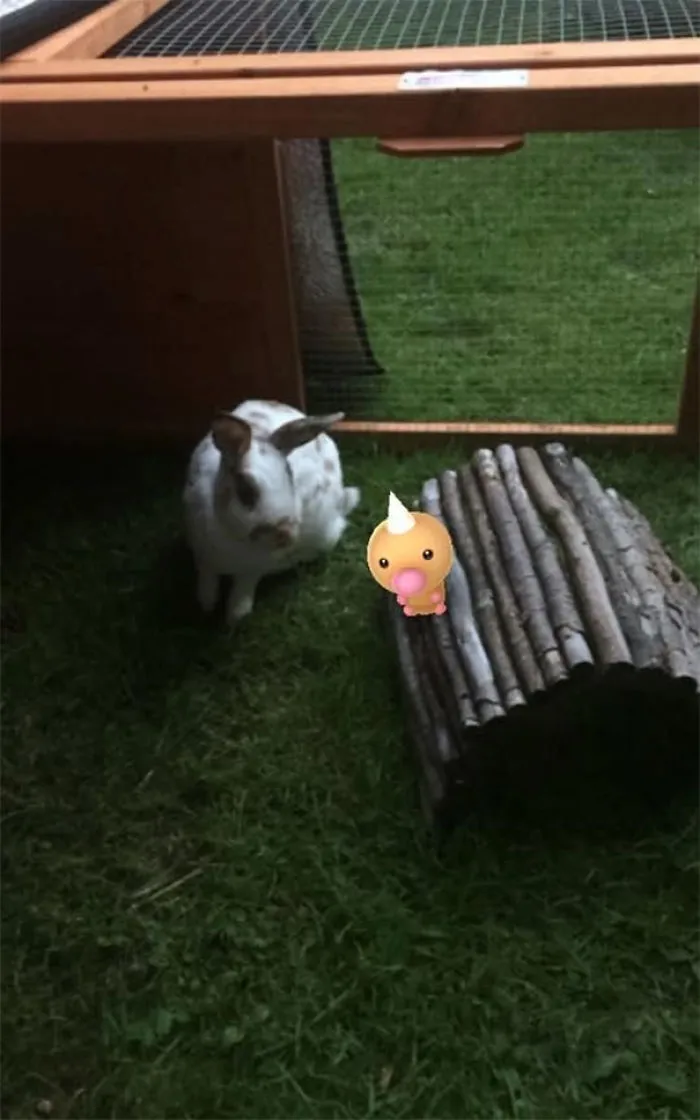 At First I Thought He Was A Carrot...