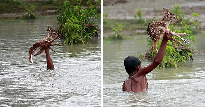 51 Images That'll Restore Your Faith In Humanity