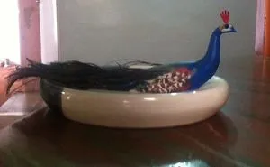 I Made Peacock Out Of Clay And Peacock Feathers.