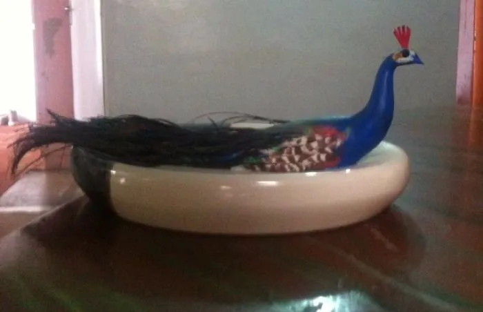 I Made Peacock Out Of Clay And Peacock Feathers.