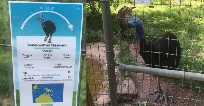 Zookeeper Can't Take It Anymore, Decides To Add Pokemon Go Signs Next To Animals