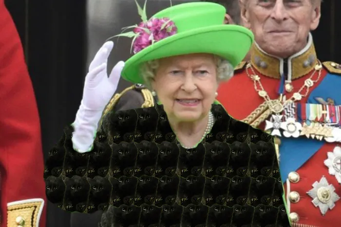 Catqueen