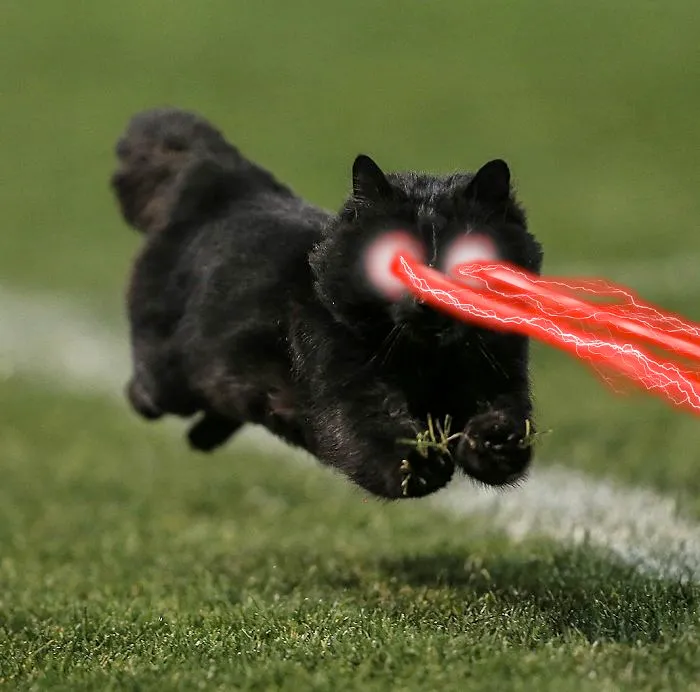 Laser Eye