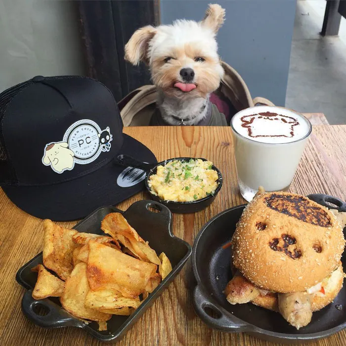 This Rescue Dog's Instagram Filled With Food Porn Is Your New Favorite Foodie