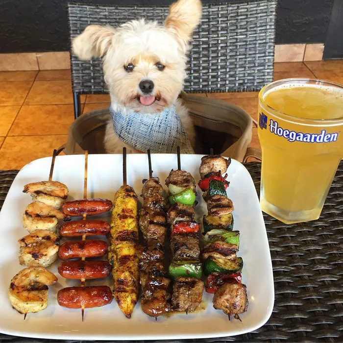 This Rescue Dog's Instagram Filled With Food Porn Is Your New Favorite Foodie