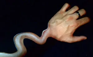 19-Year-Old Body Painter Tricks Your Mind With Another Hand Illusion
