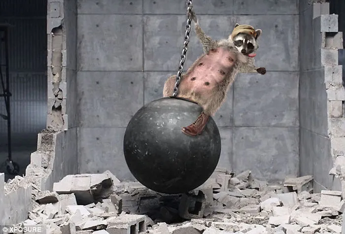 Sexy Wreckoon