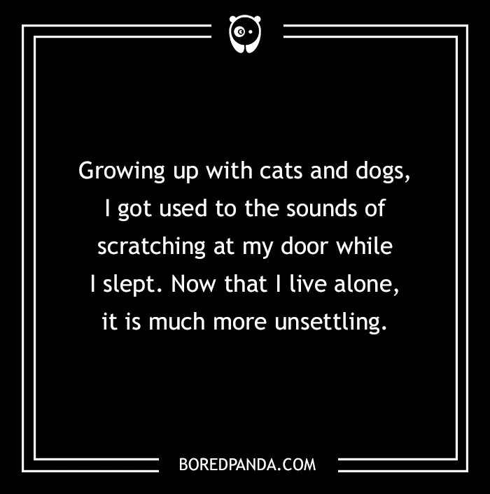 Pet Horror Story