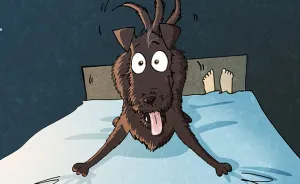 We’ve Taken A Dog From An Animal Shelter (Personal Experience)