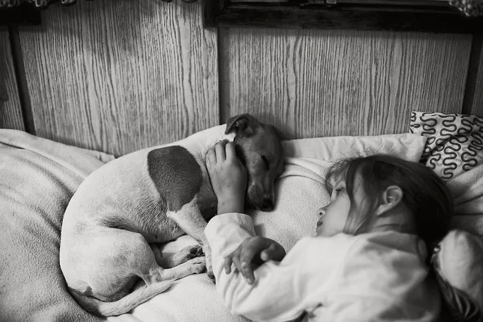 Summer Unplugged: I Document My Kids Spending Idyllic Summers Without Computers