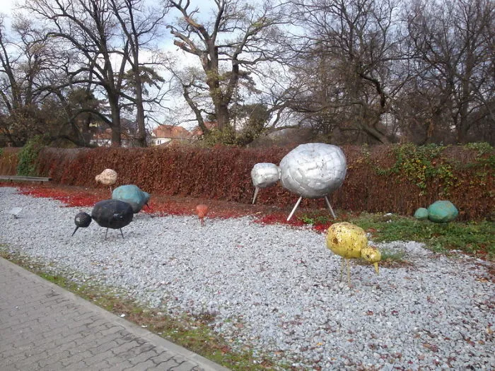 Ugly Chickens (timisoara, Romania)