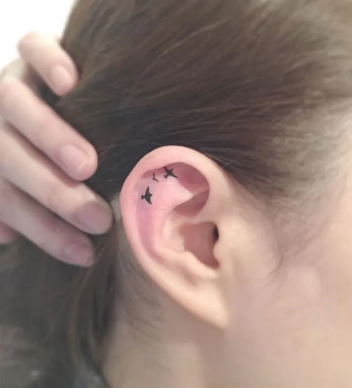 Minimalist tattoo of small birds inside an ear, created by a Korean artist.