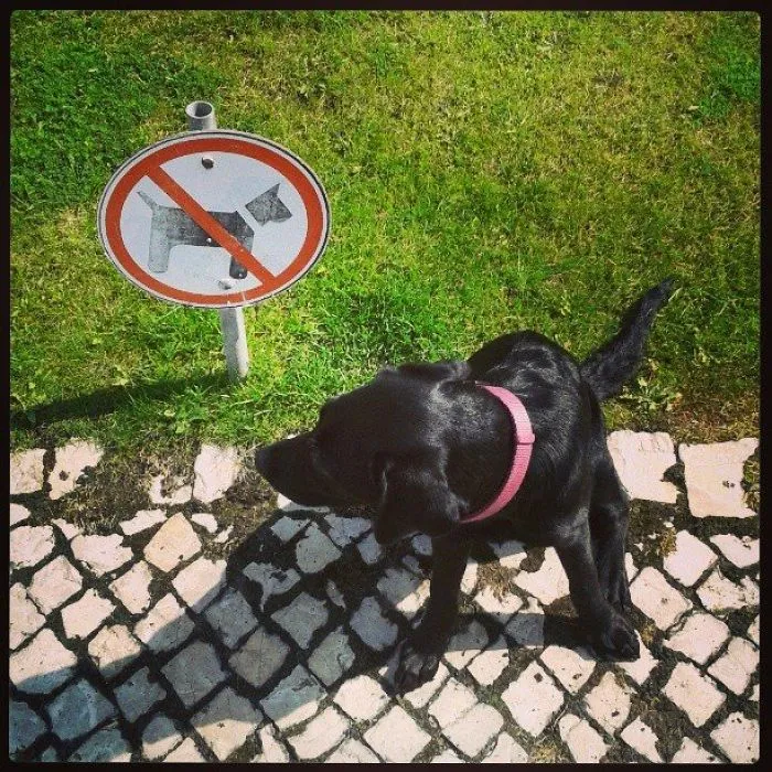 Seems Familiar...