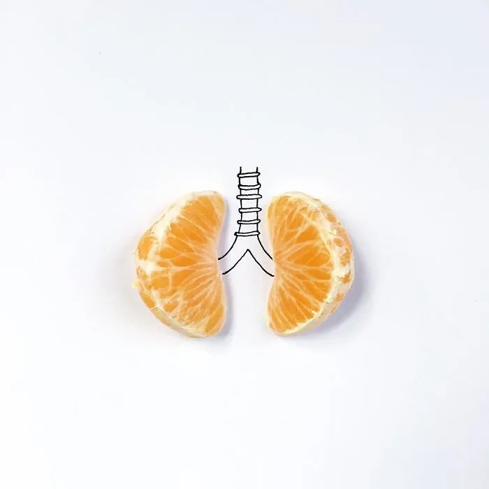 100 Days Of Tiny Things: I Find Small Objects Around Me And Turn Them Into Art