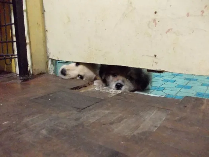 Let Us Out Please!