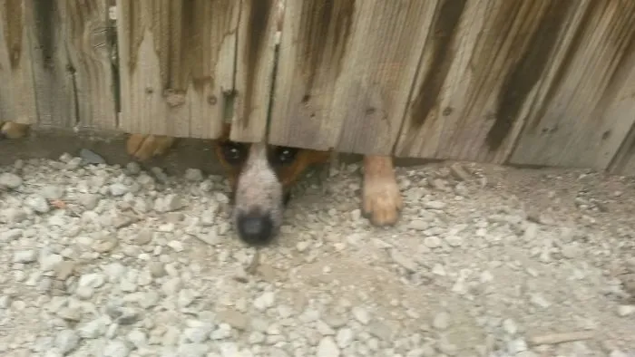 I Can Fit!