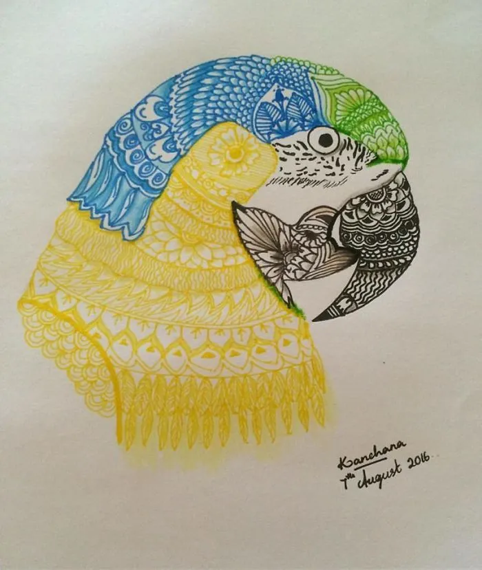 Doodles All Over...
