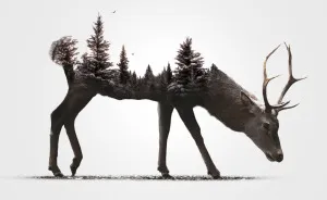 I Merged Animals With Their Own Environments Into One Crazy Simple Picture