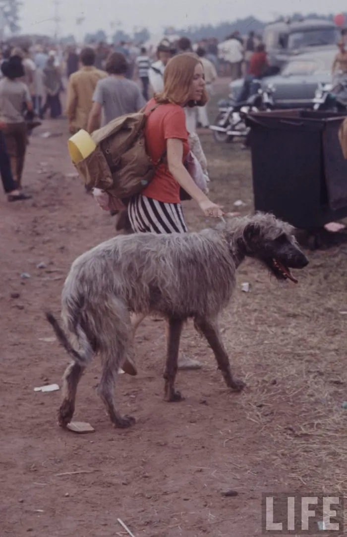 What It Was Really Like To Be At Woodstock Back In 1969