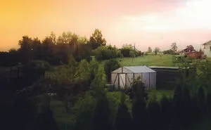 I Capture The Beauty Of Rural Lithuania (And Sometimes My Cat) With A Crappy Camera