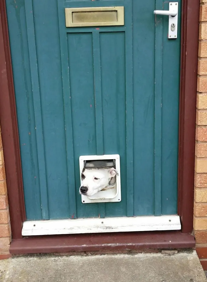 Hai!