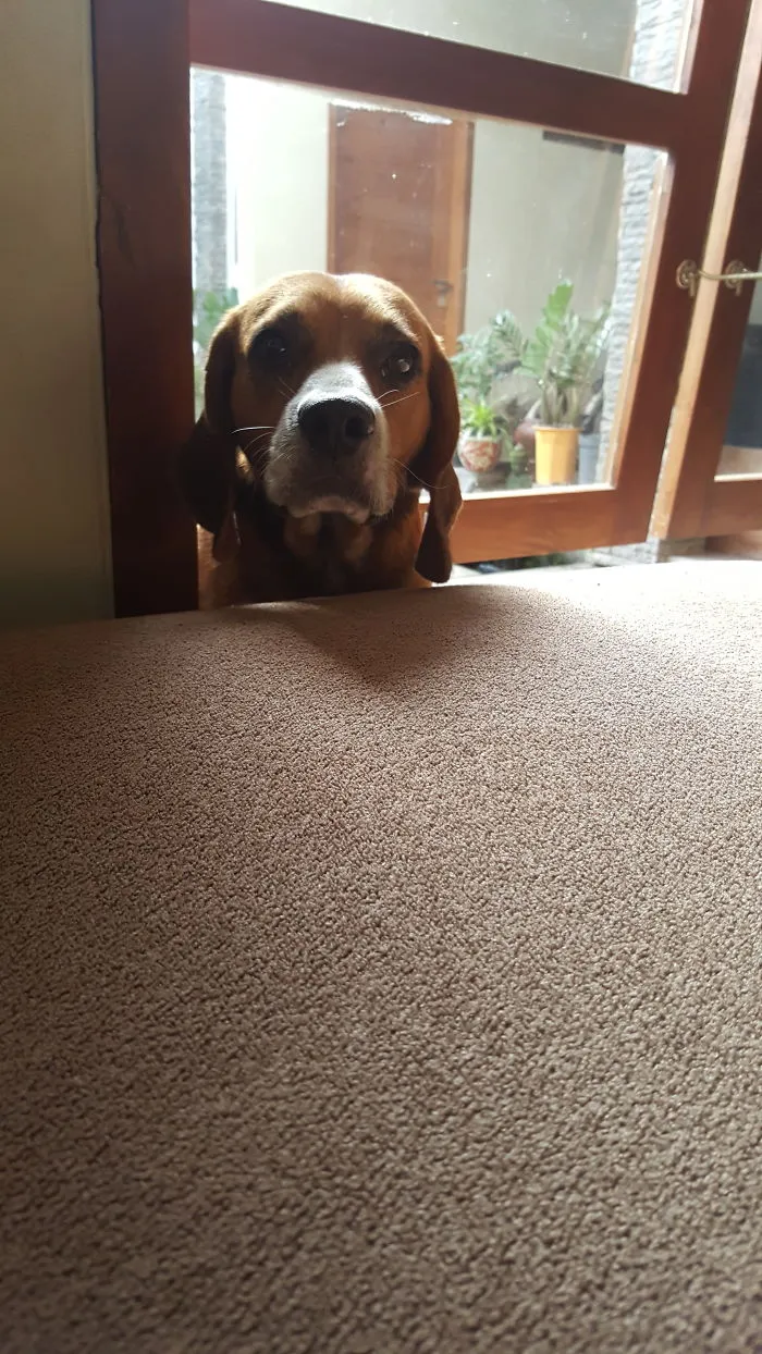 Hi...can I Come In...pleaseee