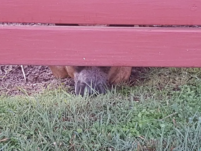 I Can See You.... But Can You See Me??