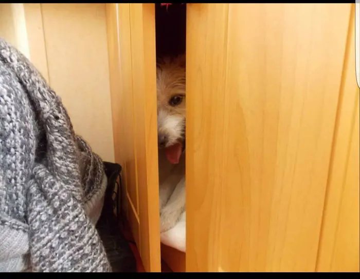 I'm Saying Hello From Here I'm Comfy