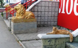Three Golden Lions