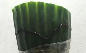 Man Finds Dead Worm In His Cucumber, Tesco's Response Is Brilliant