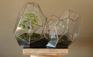 I Reimagined The Terrarium